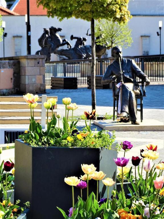 Fortuna Apartmanok Eger Kültér fotó